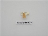 藏品(梯紋豔苔蛾)的圖片